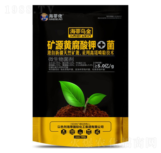 �VԴ�S�����+��-���ٻ���