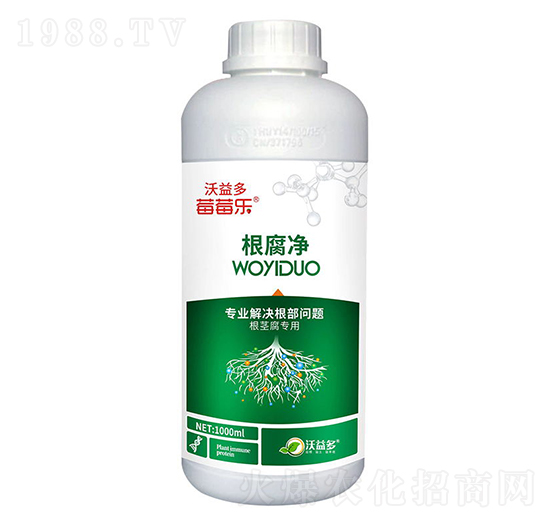 ������-ݮݮ��-�����