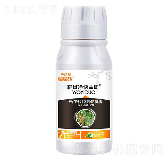 �а߃�������-ݮݮ��(l��)-�����