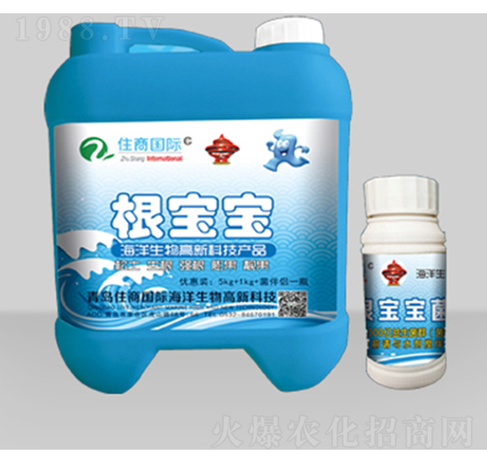 ������-ס�̇�(gu��)�H