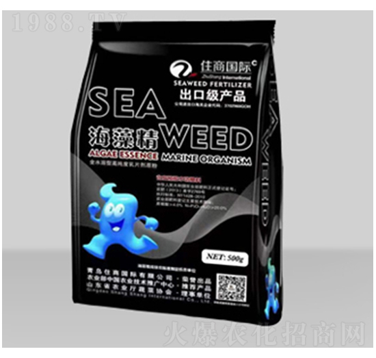 ���ڼ����徫--ס�̇��H