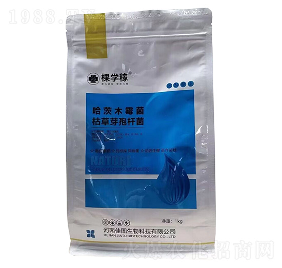 ΢�������-�ÌW��