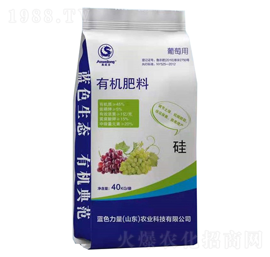 �W�������ь����ЙC(j��)����-�{(l��n)ɫ����