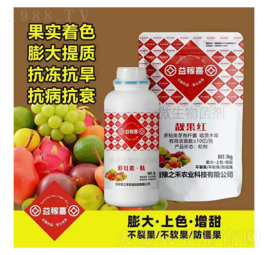 �r�t�ء���+�n���t-���ϲ-ԥ֮��