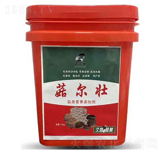 ��I(y��ng)�B(y��ng)���ӄ�-��ʢ��������-���_(d��)����