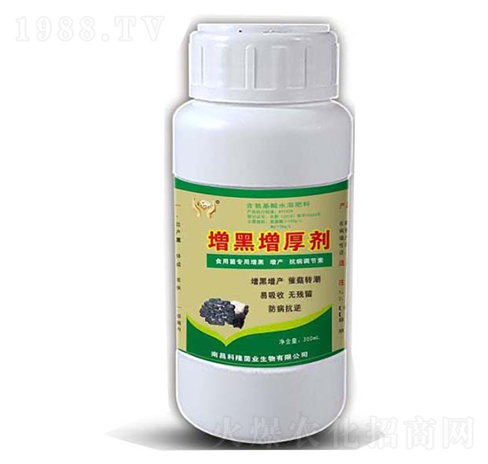 ��ЦЦ����������-���_����