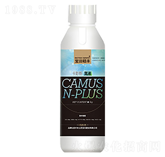 �Ӹ�ֳ��-����ʘI(y��)