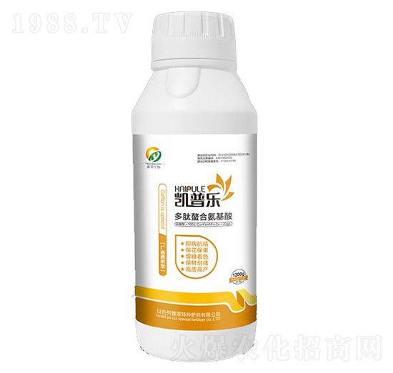 ƿ�b�������ϰ�����-�P�՘�(l��)-�Ŵ�����