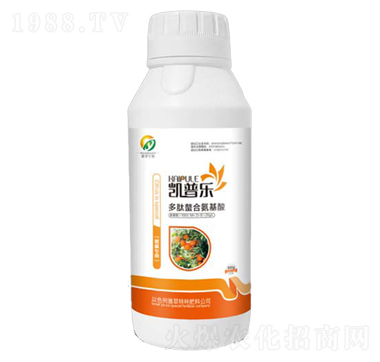 ���ٌ��ö������ϰ�����-�P�՘�-�Ŵ�����