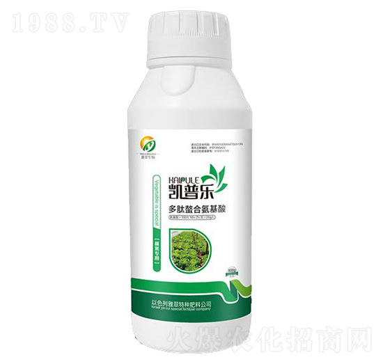 �߲ˌ�(zhu��n)�ö������ϰ�����-�P�՘�(l��)-�Ŵ�����