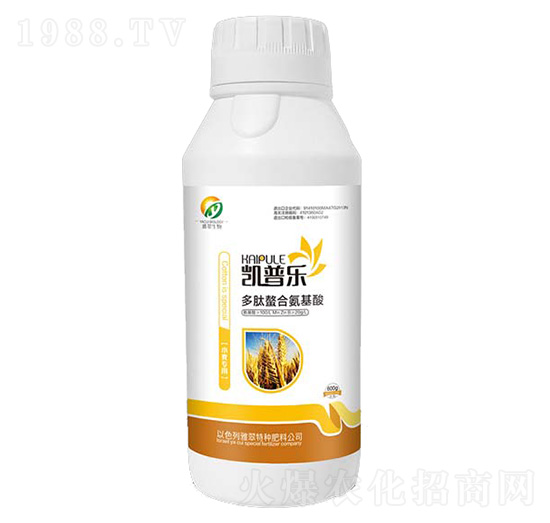 С�����ö������ϰ�����-�P�՘�-�Ŵ�����