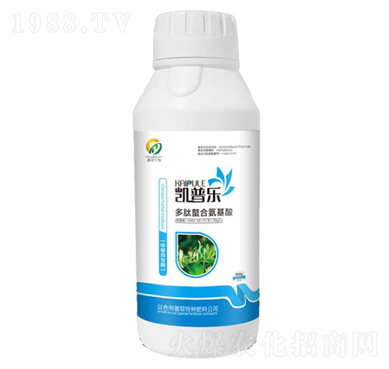 �в�ˎ���ö������ϰ�����-�P�՘�-�Ŵ�����