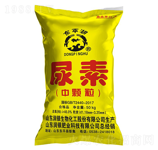 ���w������-�|ƽ��-���y����