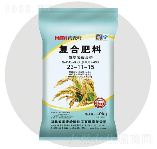 �����������͏ͺϷ���23-11-15����-�S���X