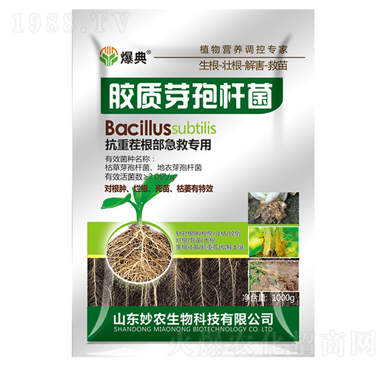 �z�|(zh��)ѿ�ߗU��-����-���r(n��ng)����