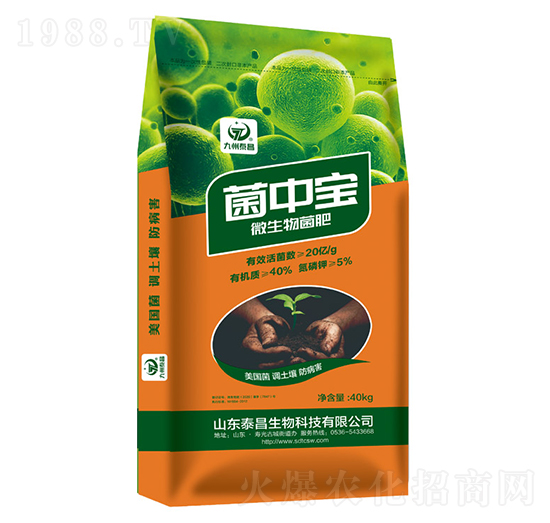 ���Ќ�΢�������-��̩����