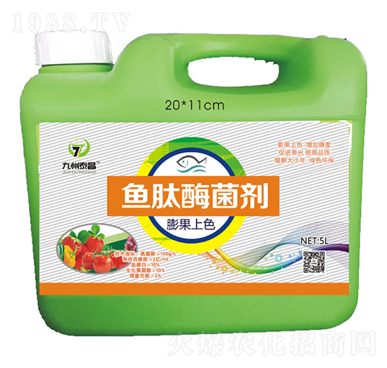 �~��ø�����������ɫ��-��̩����