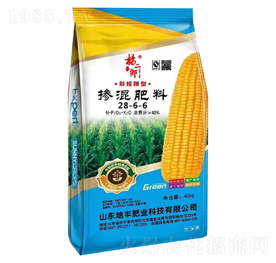 �ʿ���͓������28-6-6-�����-���S�ʘI(y��)