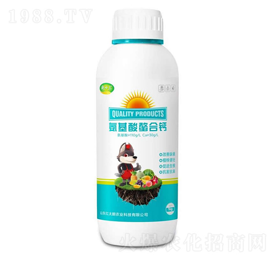 �����������}-Ǭʮ��-�t̫���r(n��ng)�I(y��)