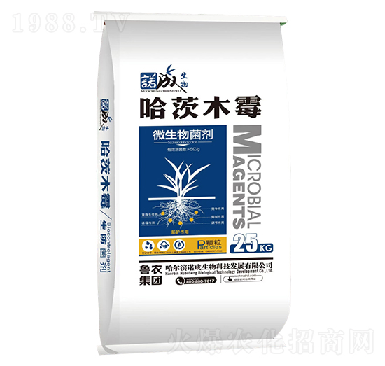 ����ľù΢�������-���r���F