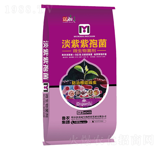 �������߾�-�Z�ɑ�(zh��n)��-���r���F