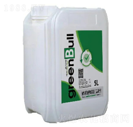 �����_�����z�\-�����_