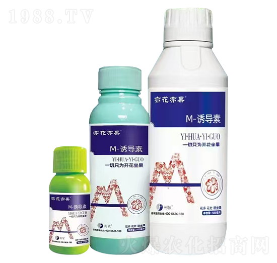 M-�T����-�໨���-����֮�G