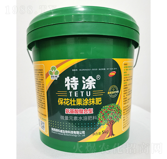 �����ѹ�ͿĨ��-��Ϳ-�G����