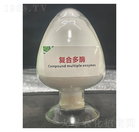 �ͺ϶�ø-��������