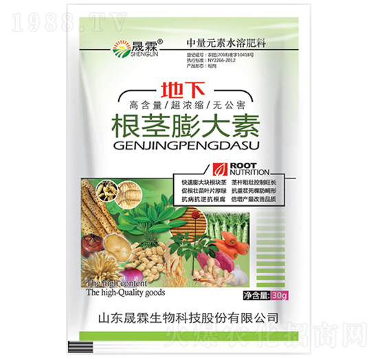 ���o�����-��������