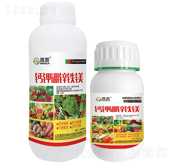 �}�V���\�F�V-��������