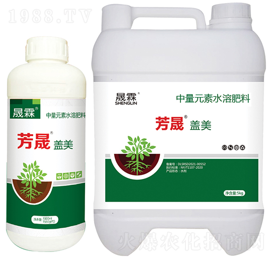 �����w�����Ҹ����ͣ�-��������