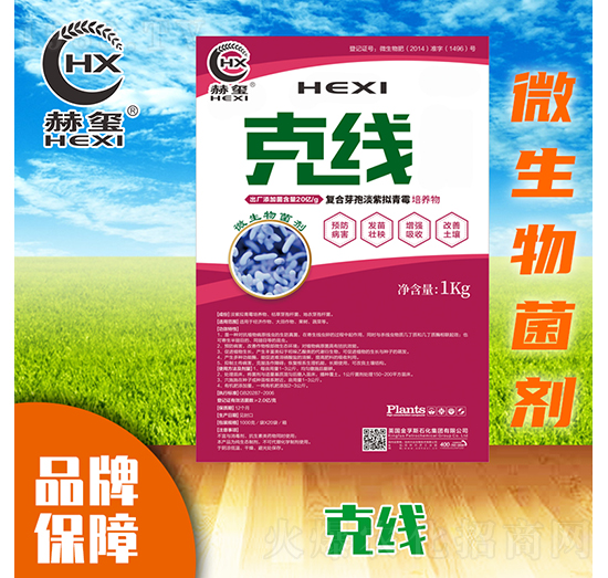 �˾�(xi��n)΢�������-�խt