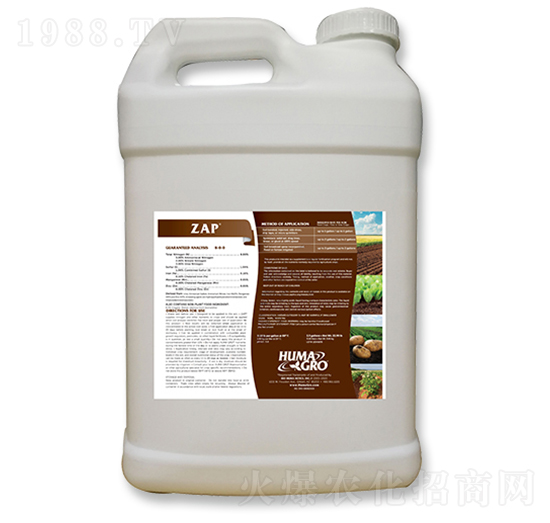 �ؿ�-����