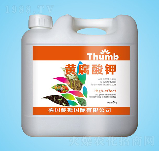 �S�����-����r(n��ng)�I(y��)