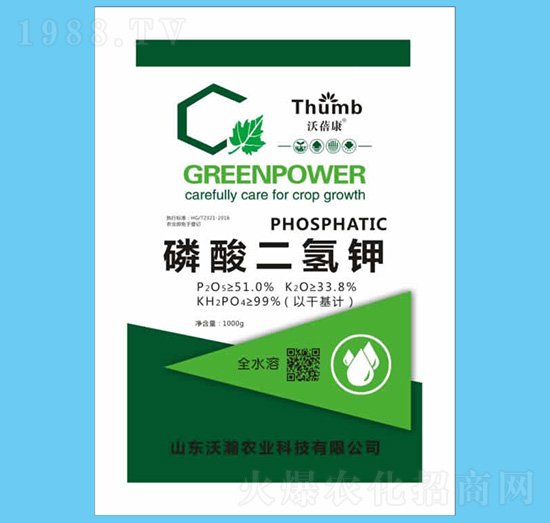 1000g��������-������-����r�I(y��)