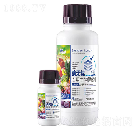 ���o(w��)�n-�r(n��ng)����������-ʢ��¡��