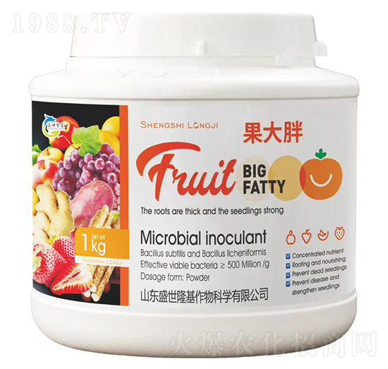 ������-ʢ��¡��