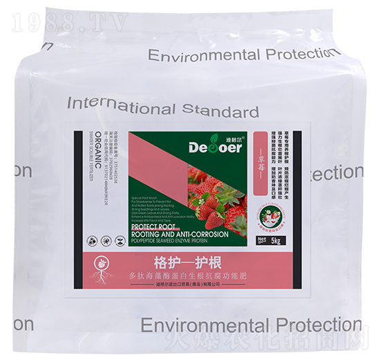 ���o-�o������ݮ��-�ϸ�