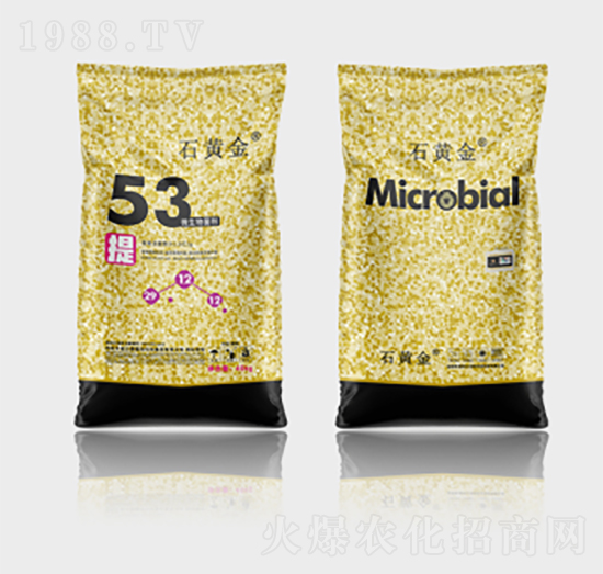 ʯ�S��΢�������53��