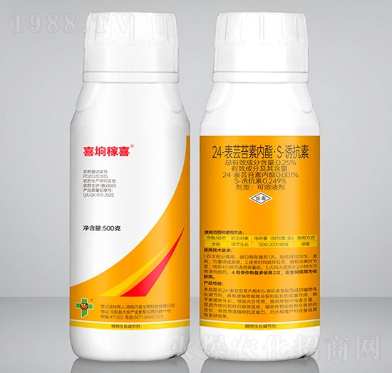 24-���|̦�؃�����S-�T����-ϲ�s��ϲ-��ϲ