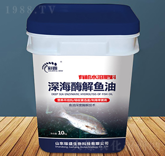 �ø���~��-��ʢ����