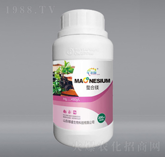 �����V-��ʢ����