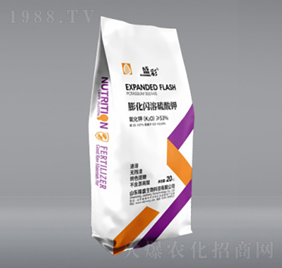 ���W�������-��ʢ����