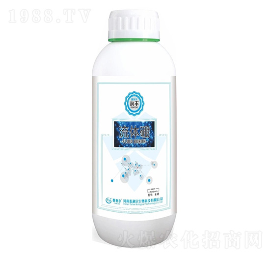 ���w��-���S-̩����