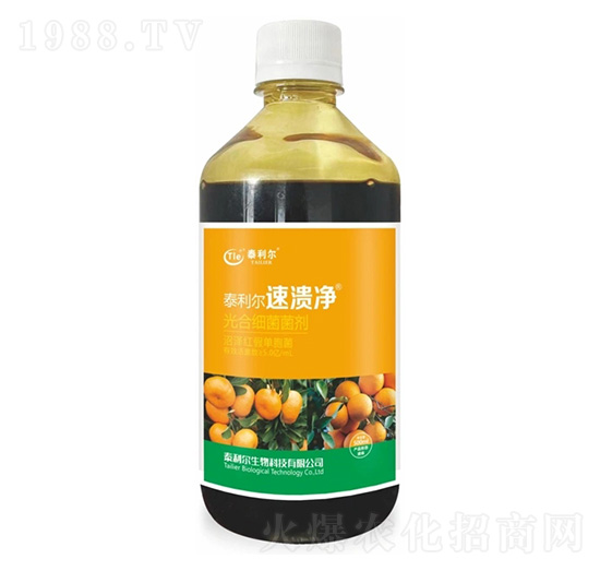 ��ϼ�(x��)������-�ٝ���-̩����