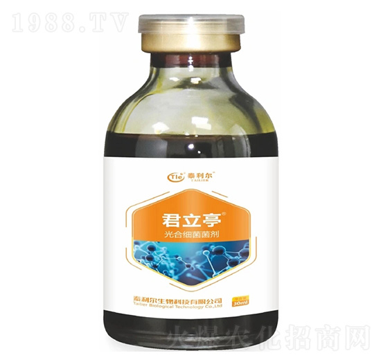 ��ϼ�������-����ͤ-̩����