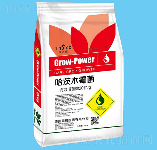 10kg����ľù��-������-����r(n��ng)�I(y��)