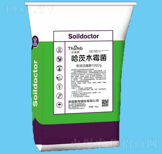 ����ľù����10�|�����-������-����r(n��ng)�I(y��)