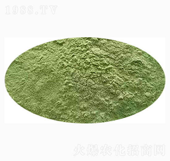 ���ڼ��G�徫-��˹�r(n��ng)